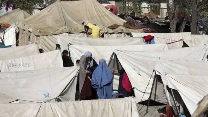 sarepol-more-than-1600000-afghan-citizens-were-displaced-after-ta-liban-came-to-power